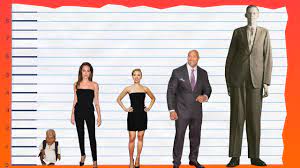 She spends the third part of her annual income per charity. How Tall Is Angelina Jolie Height Comparison Video Dailymotion