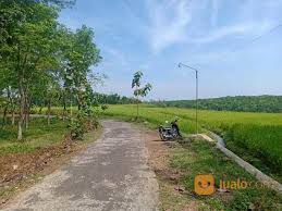 Jalan kemang selatan 1d no.c8 bangka, kota jakarta selatan 12731. Kandang Bekas Jualo