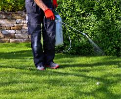 If you are not quite sure about the level of management or care you want, ask several. Lawn Care And Lawn Treatment Programs