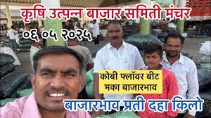मंचर मार्केट बाजारभाव ०६ ०५ २०२५...