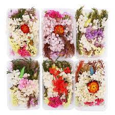 We did not find results for: 1 Box Random Mix Style Dried Flowers Decoration Natural Floral Sticker Epoxy Mold Diy Filling Jewelry Dry Beauty Nail Art Decals Jewelry Findings Components Aliexpress