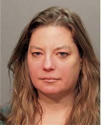 ᐅ Illinois Criminal Records 2009-2025