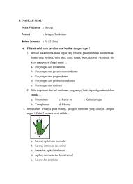 Contoh soal psikotes aritmatik, yaitu tes matematika yang jawabannya berhubungan erat dengan perkalian, pembagian. Top Pdf Jawaban Uts Evaluasi Naskah Soal Pg And 123dok Com