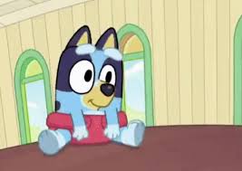 Cartoons And Huskies Baby Bluey Coming Soon