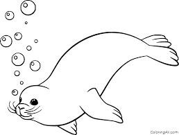 The best selection of royalty free lion coloring pages for adults vector art, graphics and stock illustrations. Seal Coloring Pages Coloringall