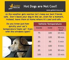 14 Cogent Dog In Car Temperature Chart