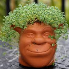 Something Green And Good To Eat My Chia Pet The Spicy Rd Chia Pet Chia Seeds Benefits Chia
