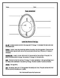 In further paragraphs we will learn all the important information you need to know about these parts. About This Lab Students Will Label The Parts Of An Egg And Make Observations About Their Structur Middle School Science Resources Teacher Help Science Lessons