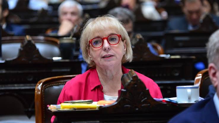 Silvana Giudici, diputada del PRO: "Es importante que no se vuelva atrás  con la ley de Identidad de Género" - elDiarioAR.com