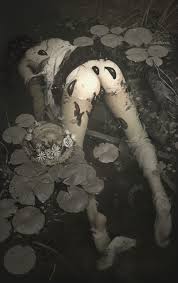 Dead Body Porn - Page 5 Of 8 - Rule 34