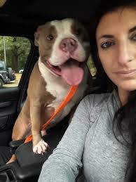 Fostering is one of the greatest gifts you can give a shelter dog — an...