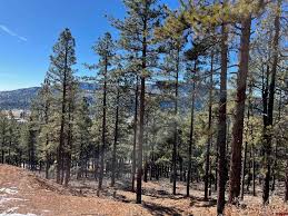 Stuart Way, Durango Realtor