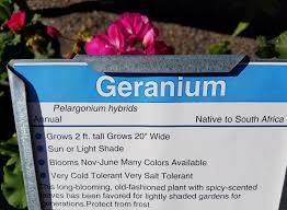 Cooking with edible flowers is back. Scientific Plant Names Can Be Important Especially With Edible Plants