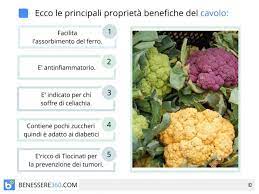 Il cavolfiore è un ortaggio ricco di benefici per la salute e povero di calorie, un alimento perfetto da consumare in una dieta ipocalorica. Cavolfiore Proprieta Calorie Benefici E Valori Nutrizionali