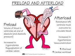 Pin On Cardiac Nursing