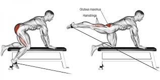 Comment Effectuer L Exercice Leg Extension Poulie Basse En Musculation Musculation Musculation Jambes Exercice Pour Le Bas Du Corps