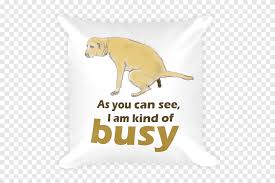 Check spelling or type a new query. Throw Pillows Humour Quotation Dog Its Cool To Be Kind Mammal Carnivoran Png Pngegg