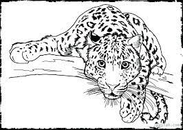 Download and print these realistic of animals coloring pages for free. Grab Your Fresh Coloring Pages Realistic Animals Download Https Www Gethighit Com Animal Coloring Pages Detailed Coloring Pages Farm Animal Coloring Pages