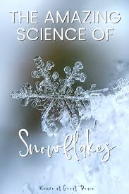 The Amazing Science Of Snowflakes Unit Study Great Peace Living Polish your personal project or design with these snowflakes transparent png images, make it even more personalized and more attractive. the amazing science of snowflakes unit