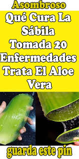 Que Cura La Sabila Tomada 20 Enfermedades Trata El Aloe Vera Aloe Vera Aloe Tips