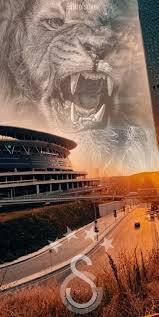 Galatasaray Hd Wallpaper Logo Ve Aslan Duvar Kagidi Baski Resim Resimler Fotograf Kopya Kagidi
