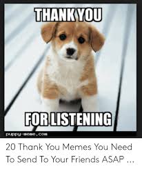 Shop our selection of designs from zazzle now! Forlistening Puppy Memecom 20 Thank You Memes You Need To Send To Your Friends Asap Friends Meme On Me Me