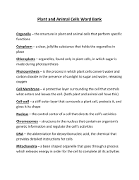 Mitochondria are also set apart from other organelles as they have their own unique genome, different from the genetic code stored in the nucleus. Plant And Animal Cells Word Bank Organelle