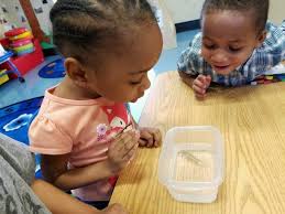 Pre schools in anne arundel county have an average ranking of 5/10, which is in the bottom 50% of maryland public pre schools. The Y Takes Over Anne Arundel County Head Start Pasadena