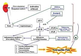 Renin Angiotensin Aldosterone System A Current Drug Target