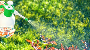 It is not uncommon for pest control companies to provide additional services such as lawn care or moisture control, but no leading it is also dedicated to environmentally conscious pest prevention methods. Top 10 Natural Pest Control Methods Guard Pest Control
