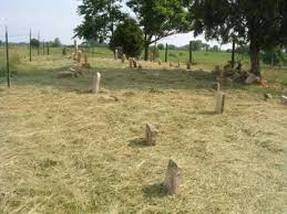 Larimore Cemetery, LeGrande, Hart Co., KY