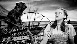 Creative Event Themes: Wizard of Oz