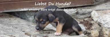 First investment bank ad is rated by fitch. Stiftung Fur Bulgarische Strassenhunde In Not Best Friends Foundations