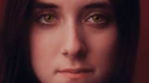 Steely Dan's Damsel: Linda Hoover, Almost Star