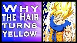 The hair stylist is an interactive npc and a shopkeeper that can change the player's hairstyle and hair color (as long as they are saiyan, human, or android) when interacted with them. Why Does Goku S Hair Turn Gold When He Becomes A Super Saiyan The Real Reason Youtube