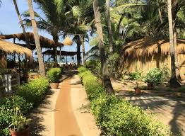 Beach Shacks In Goa Best Shacks In Goa Tantra beach shack and beach huts, anjuna, goa, india ! beach shacks in goa best shacks in goa