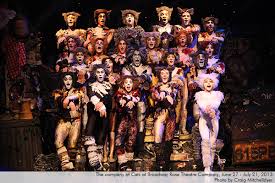 The recording won best cast show album at the 26th annual grammy awards. Cats At Broadway Rose Theatre Company Broadway Rose Theatre Company