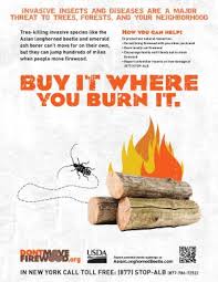 We have a minimum order of one cord. Firewood And Invasive Pests Nys Dept Of Environmental Conservation