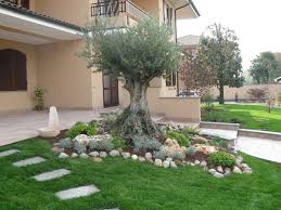 17 Abbellire Un Albero Di Ulivo Ecco 16 Splendidi Esempi Per Ispirarvi Amenagement Jardin Olivier Decoration Jardin Amenagement Jardin
