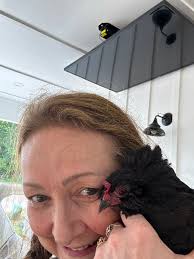 My 15 year old chicken 🐔 is sneezing terribly and is having a hard time  breathing like she has bronchitis from the nasal drainage. Do you all have  any ideas