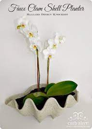 Our giant clam shell is perfectly sized to add a tropical touch to your tabletop or bookcase. Faux Clam Shell Planter Knockoffdecor Com