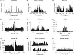Sorsok útvesztője fórum, 52 vélemény és hozzászólás. Rhythmicity Randomness And Synchrony In Climbing Fiber Signals Trends In Neurosciences