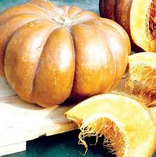 Courge Musquee D Hiver De Provence 2g Graines Elem