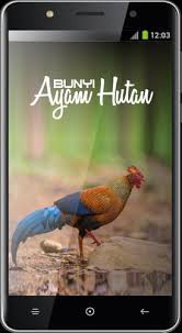 Dijual ayam hutan asli untuk pikat, terbukti jitu, pikat ayam hutan jitu mau dijual mana tau ada yang minat, ok gan ini adalah. Bunyi Suara Ayam Hutan For Android Apk Download