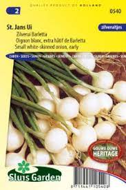 Sow thinly directly in the garden in rows (row. Onion Small White Skinned Barletta Globe Bunching Onions Products Seeds From Holland