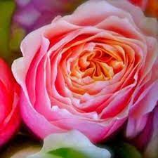 These are common wherever sunny, sagey places are. White House Florist Home Facebook