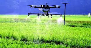 In malaysia (currently a net. Digitalisation And Industrialisation Of Agriculture A Pathway For Youth Employment