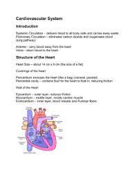Chapter 13 Cardiovascular System 13 1 Introduction