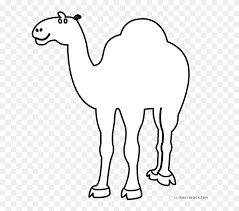 Scroll down and check out all our collection of domestic animals outline images, pictures and also the facts about domestic animals. Outline Animal Free Black Black And White Drawing Animals Camal Clipart 5610734 Pinclipart