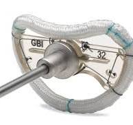 TruForm™ Sievers Annuloplasty Ring - Genesee BioMedical Inc ...